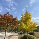 고산윤선도유물전시관(휴관) 이미지