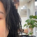 반짝반짝빛날희
