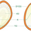 오늘도예쁜아이 이미지