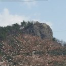 영상 )변희재, “부정부패 적폐해소를 위해서는 권양숙과 노건호를 당장 구속해야“ 이미지