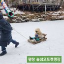 입촌농장 네이버블로그