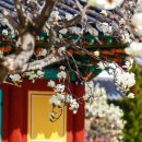 서산시청