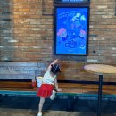 주니지 | 대전 탄방동 CGV 꼬마마법사 주니토니 영화 후기