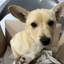 마천 목욕탕 이미지