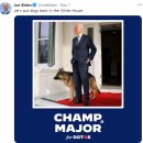 백악관주유소 이미지