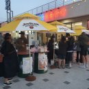 양양플리마켓 하조대 선셋 마켓 후기
