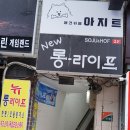 댕댕이아지트 이미지