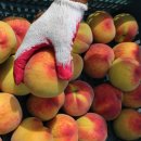 승래농장 이미지