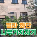 미나스톱 의정부신곡점 | 햇빛 가리는 나무 가지치기 방법 추천