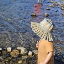 양양고인돌캠프 이미지