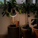 로뎀정신건강의학과의원 이미지