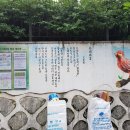 산새마을 이미지