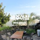 소유민박 | 제주도 감성숙소 제주아침 내돈내산 만족 후기