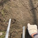 (주)힐링그룹 | 안양천 힐링 플로깅 : 몸과 마음, 지구가 건강해지는 힐링타임 | 4월 봉사활동 참여자 모집