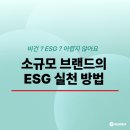 형지에스콰이아 - 순천시 비봉2길 22 | 비건? ESG? 어렵지 않아요! 소규모 브랜드의 실천 방법