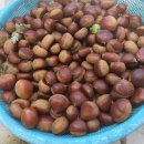 재철농장 이미지