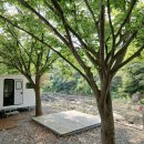 포레스트카라반 이미지