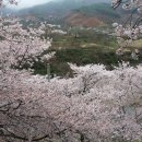 구름꽃 이미지
