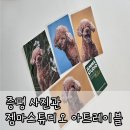 [증평사진관] 젬마스튜디오 아트레이블 : 강아지 증멍사진 촬영 후기