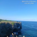 푸른행정사 이미지