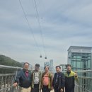제166차 정기산행(부산송도용궁다리) 이미지