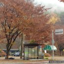 금관보건진료소 이미지