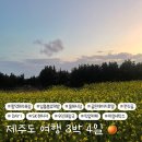 이대성산종합사회복지관 | 제주도 여행(1일차) :: 3박4일 | SK 렌터카, 우진해장국, 픽업카페, 마음세탁소, 함덕해수욕장, 일출봉...
