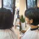 살롱디홍(Salon D.Hong)