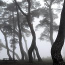 의령 벽화산성지 이미지