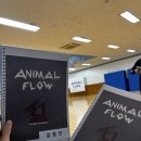 모어핏 PT&Pilates | ANIMAL FLOW, 애니멀 플로우 LV.1 지도자 자격증 취득 과정(1)