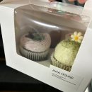 아비아하우스 | [기념일 케이크] 석촌역 카페 아비아하우스 레터링 컵케이크 예약방법, 후기❤️