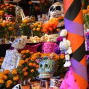 코코(coco) 이미지