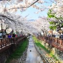 내수면환경생태공원주차장 이미지