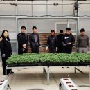 스마트홍천