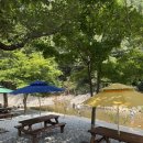 개곡 | 당진 서산 용현계곡 _ 충남계곡/ 용현계곡 평상 대여 / 수영장 있는 평상/ 황토기와집