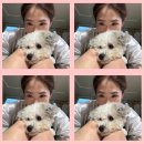 마음 사이