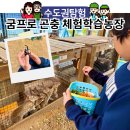 경기도 양평군 양평유치원 | 아이들과 함께 양평가볼만한곳, 굼프로 곤충체험학습 실내 놀거리