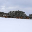 동이목장 이미지