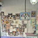 댕냥이 점빵 이미지