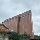 프리라움 수영장 | 서울 신라호텔 배리어프리 비지니스 디럭스룸 호캉스 숙박 후기(일반룸 비교, 주차 발렛 제휴카드)