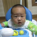 선미상회 이미지