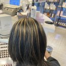 나비드헤어 이미지