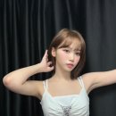 르무드헤어 이미지