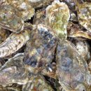 소래포구시장 이미지