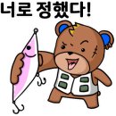 중고배스 이미지