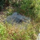 서부산세무서 이미지