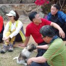 강천초등학교 이미지