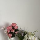 영선 | 마리스튜디오 영선수석실장님 웨딩촬영 후기, 웨딩 촬영 전 준비(체크리스트, 준비물)