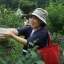 박철수농장 이미지