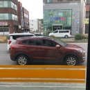 해피1000냥